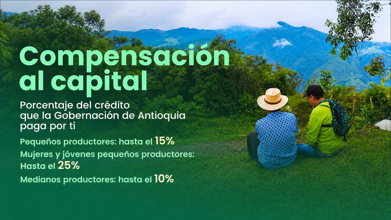 Imagen 4 de La Turbina del Crédito Agropecuario