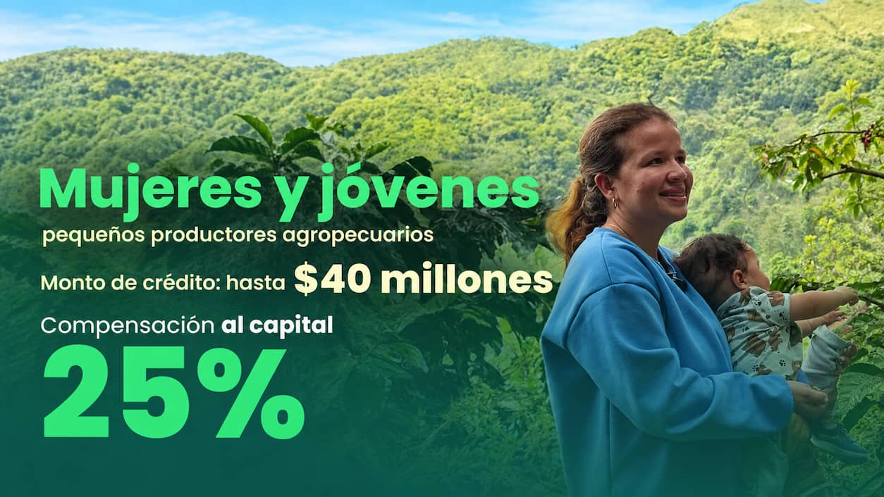 Imagen 5 de La Turbina del Crédito Agropecuario