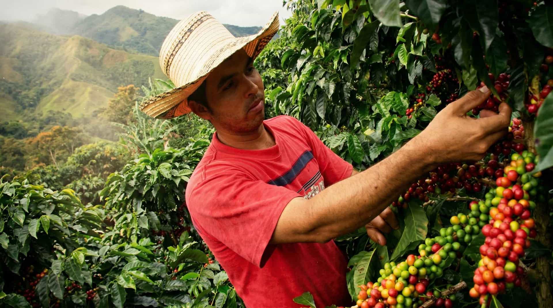 Campo de cultivo verde con un agricultor trabajando bajo un cielo azul, representando la productividad agrícola de Antioquia