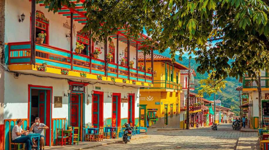 Fotografía de la tienda Agro100 Jardín